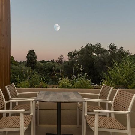 Lazaros Hotel Resort Tsilivi  Exteriér fotografie